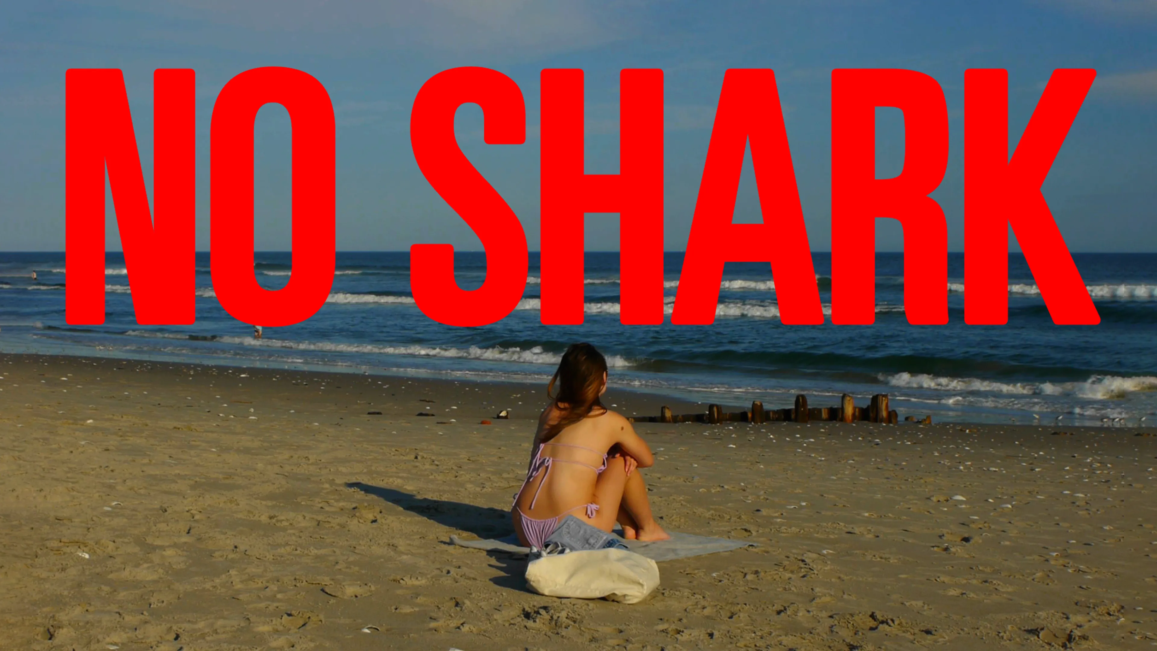 No Shark poster